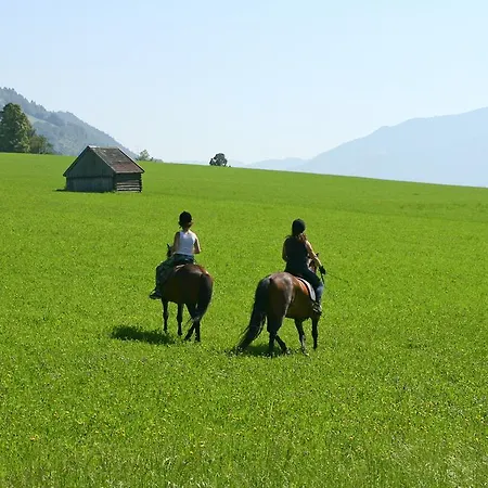 Sport & Baerenwirt 4* Aich (Styria)