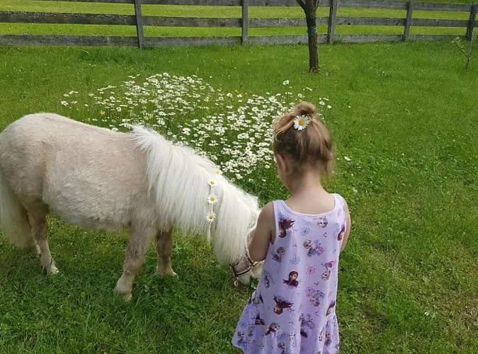 Hotel Sport&familienhotel Bärenwirt