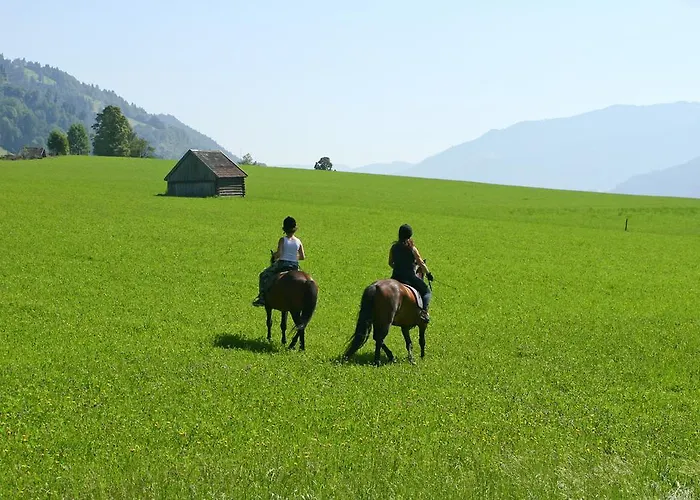 Sport&familienhotel Bärenwirt 4* Aich (Styria)