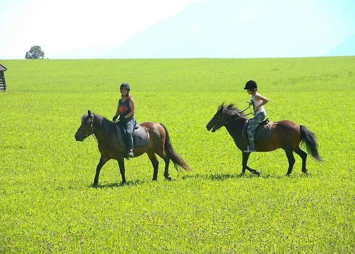 Hotel Sport&familienhotel Bärenwirt 4*