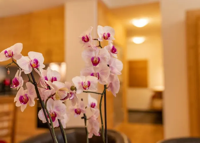 Sport&familienhotel Bärenwirt Aich (Styria)